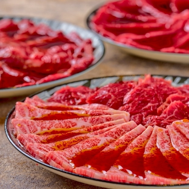 大人の無限焼肉セット